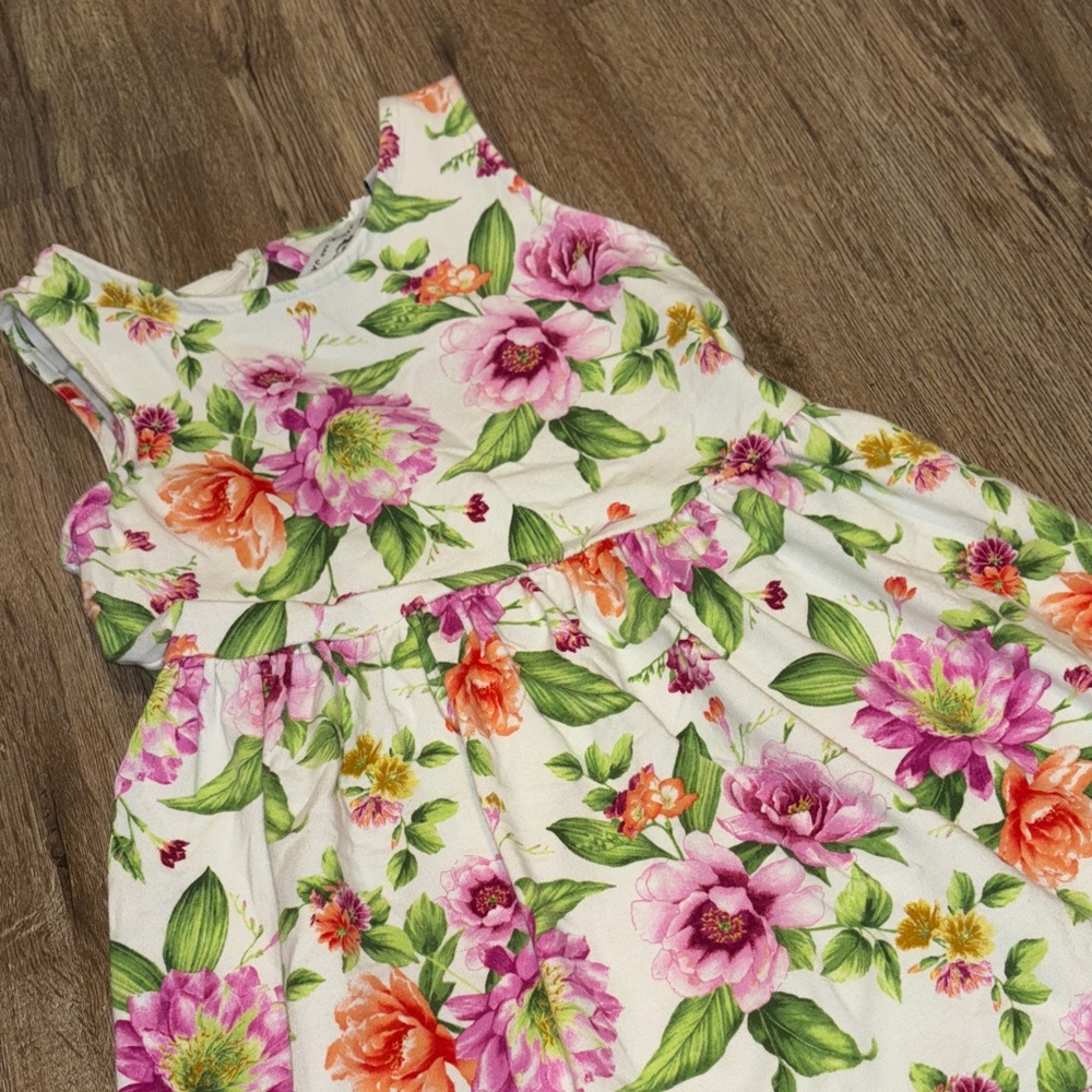 Janie and Jack Floral Dress with Pink and Green Accents